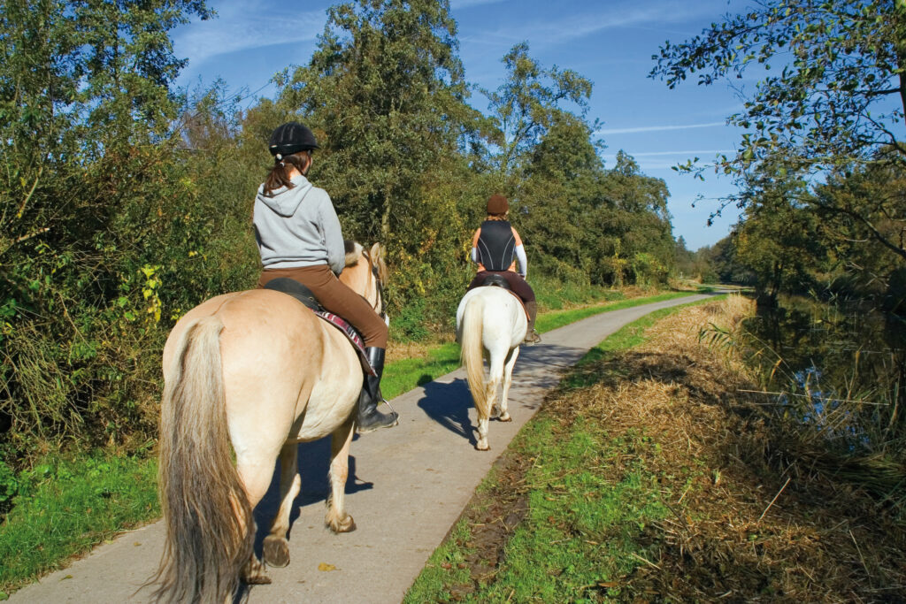 Equitazione in Umbria