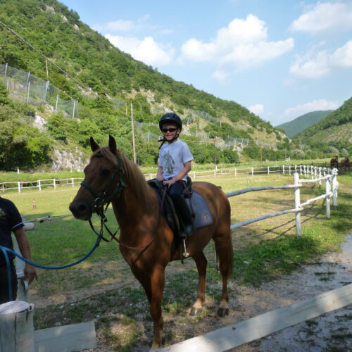 cavallo5