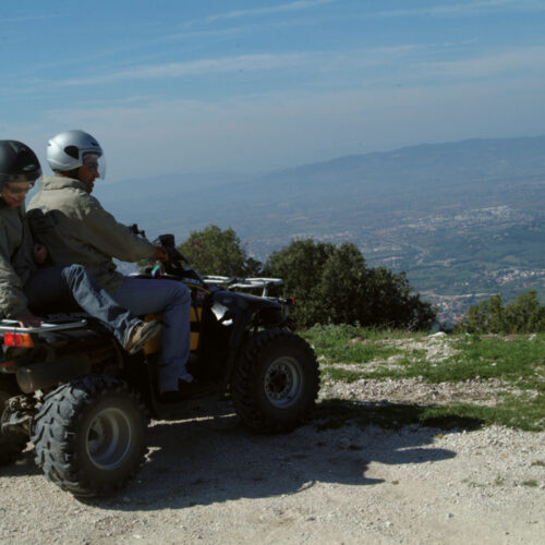 quad7